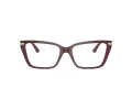 Jimmy Choo Ochelari de Vedere JC 3002B 5018 55