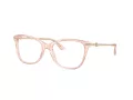 Jimmy Choo Ochelari de Vedere JC 3007HB 5034 54