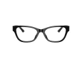 Jimmy Choo Ochelari de Vedere JC 3010U 5017 54