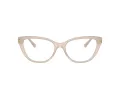Jimmy Choo Ochelari de Vedere JC 3011 5025 52