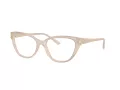 Jimmy Choo Ochelari de Vedere JC 3011 5025 52