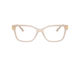 Jimmy Choo Ochelari de Vedere JC 3012 5025 53