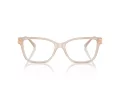 Jimmy Choo Ochelari de Vedere JC 3012 5025 53