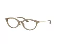 Jimmy Choo Ochelari de Vedere JC 3029D 5051