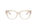 Jimmy Choo Ochelari de Vedere JC 3035 5025 51