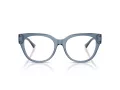Jimmy Choo Ochelari de Vedere JC 3035 5067 51
