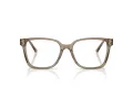 Jimmy Choo Ochelari de Vedere 3038D 5051 54