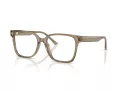 Jimmy Choo Ochelari de Vedere 3038D 5051 54