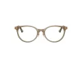 Jimmy Choo Ochelari de Vedere JC 3039D 5051