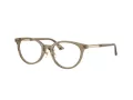 Jimmy Choo Ochelari de Vedere JC 3039D 5051