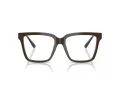 Jimmy Choo Ochelari de Vedere 3040U 5060 52