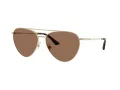 Jimmy Choo Ochelari de Soare JC 4002B 301773