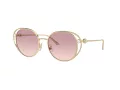 Jimmy Choo Ochelari de Soare JC 4003HB 300668