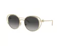 Jimmy Choo Ochelari de Soare JC 4003HB 30068G