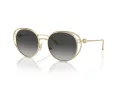 Jimmy Choo Ochelari de Soare JC 4003HB 30068G