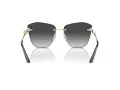 Jimmy Choo Ochelari de Soare JC 4004HB 30068G