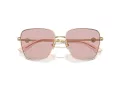 Jimmy Choo Ochelari de Soare JC 4005HB 3006/5