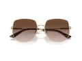 Jimmy Choo Ochelari de Soare JC 4006BD 300613