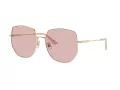 Jimmy Choo Ochelari de Soare JC 4006BD 3006/5
