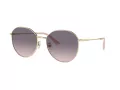 Jimmy Choo Ochelari de Soare JC 4007BD 300636