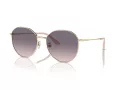 Jimmy Choo Ochelari de Soare JC 4007BD 300636