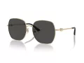 Jimmy Choo Ochelari de Soare JC 4008HD 300687