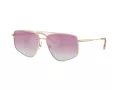 Jimmy Choo Ochelari de Soare JC 4011 300658