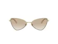 Jimmy Choo Ochelari de Soare JC 4015HB 300611