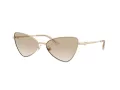 Jimmy Choo Ochelari de Soare JC 4015HB 300611