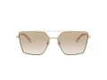 Jimmy Choo Ochelari de Soare JC 4016HB 300611