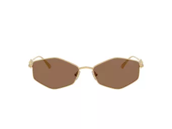 Jimmy Choo Ochelari de Soare JC 4017 302373 55