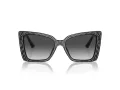 Jimmy Choo Ochelari de Soare JC 5001B 50538G