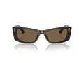 Jimmy Choo Ochelari de Soare JC 5002BU 500273