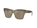 Jimmy Choo Ochelari de Soare JC 5003 50405A