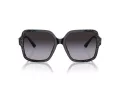 Jimmy Choo Ochelari de Soare JC 5005 50418G 55