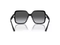 Jimmy Choo Ochelari de Soare JC 5005 5041T3