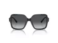 Jimmy Choo Ochelari de Soare JC 5005 5041T3