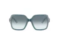 Jimmy Choo Ochelari de Soare JC 5005 504319