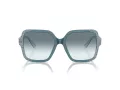 Jimmy Choo Ochelari de Soare JC 5005 504319