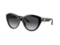 Jimmy Choo Ochelari de Soare JC 5007 50008G 55
