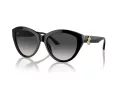 Jimmy Choo Ochelari de Soare JC 5007 50008G 55