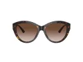 Jimmy Choo Ochelari de Soare JC 5007 500213 55
