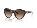Jimmy Choo Ochelari de Soare JC 5007 500213 55