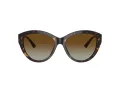 Jimmy Choo Ochelari de Soare JC 5007 5002T5