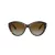 Jimmy Choo Ochelari de Soare JC 5007 5002T5