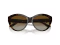 Jimmy Choo Ochelari de Soare JC 5007 5002T5