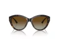 Jimmy Choo Ochelari de Soare JC 5007 5002T5