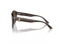 Jimmy Choo Ochelari de Soare JC 5007 5002T5