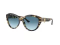 Jimmy Choo Ochelari de Soare JC 5007 500419