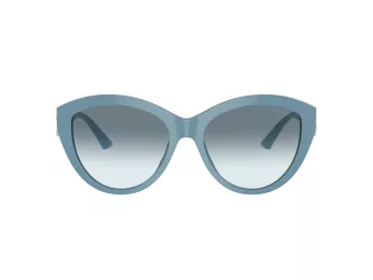 Jimmy Choo Ochelari de Soare JC 5007 501219